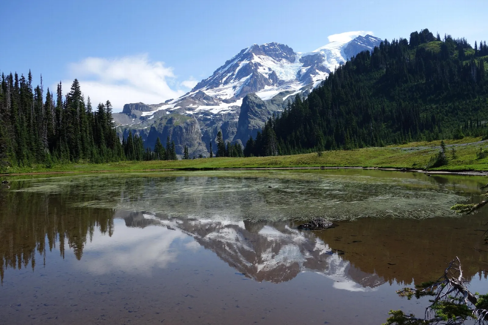 The glaciated mountain reflected in a small subalpine lake in Klapatche Park