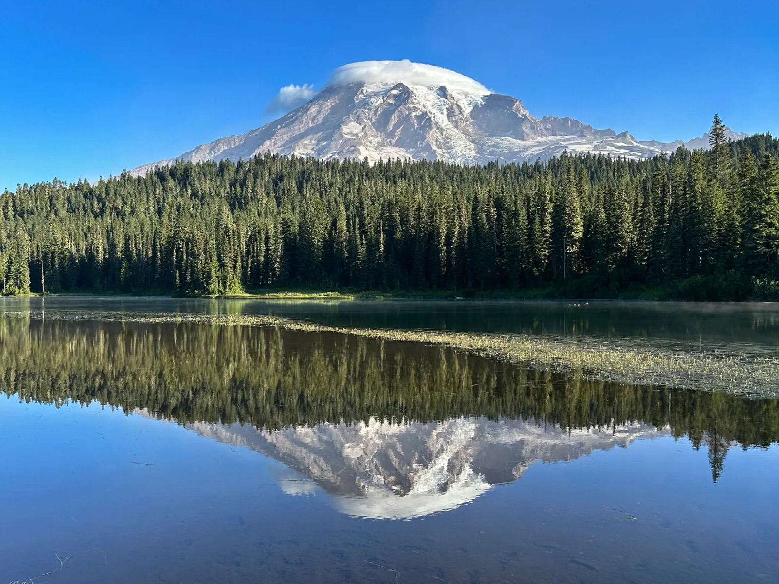 The snow-covered volcano mirrored in a calm lake below a ridge of evergreens