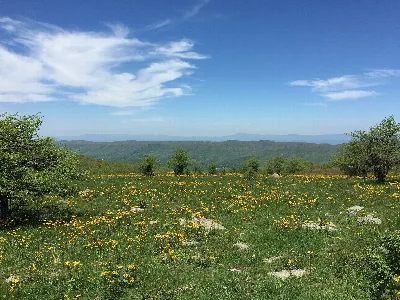 Jefferson National Forest