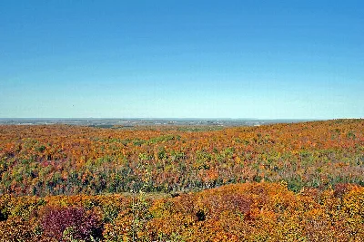 Chequamegon National Forest