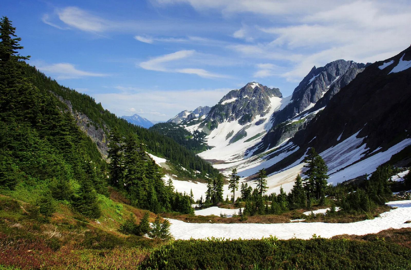 A green alpine valley with snowfields below jagged glaciated peaks