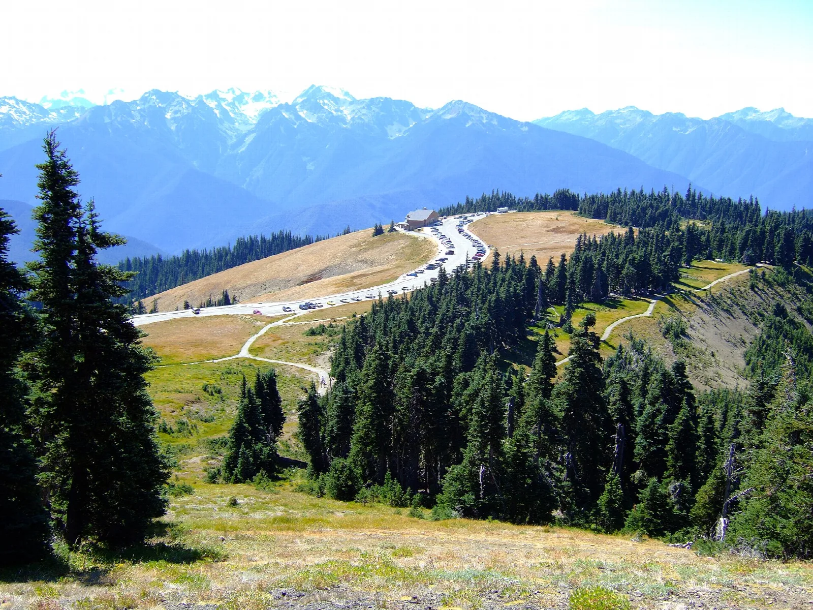 A road winding along a forested ridge toward a range of snowy peaks