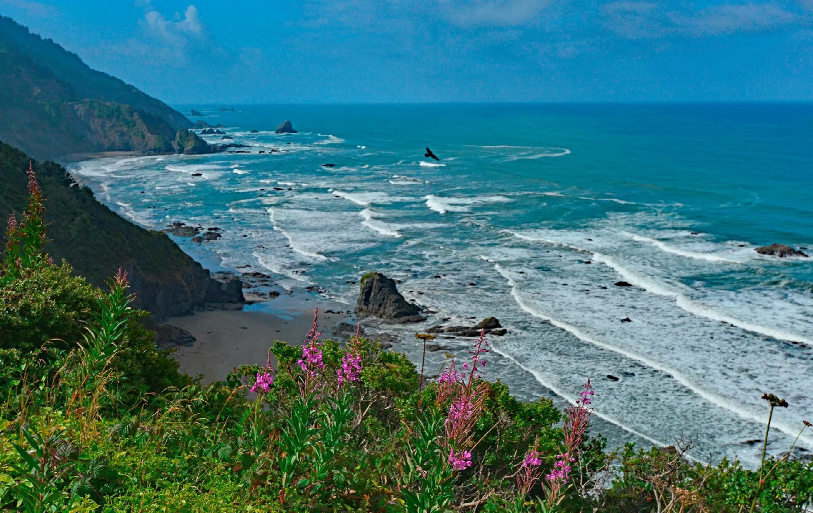 Waves on a rocky cove below steep green bluffs and pink wildflowers