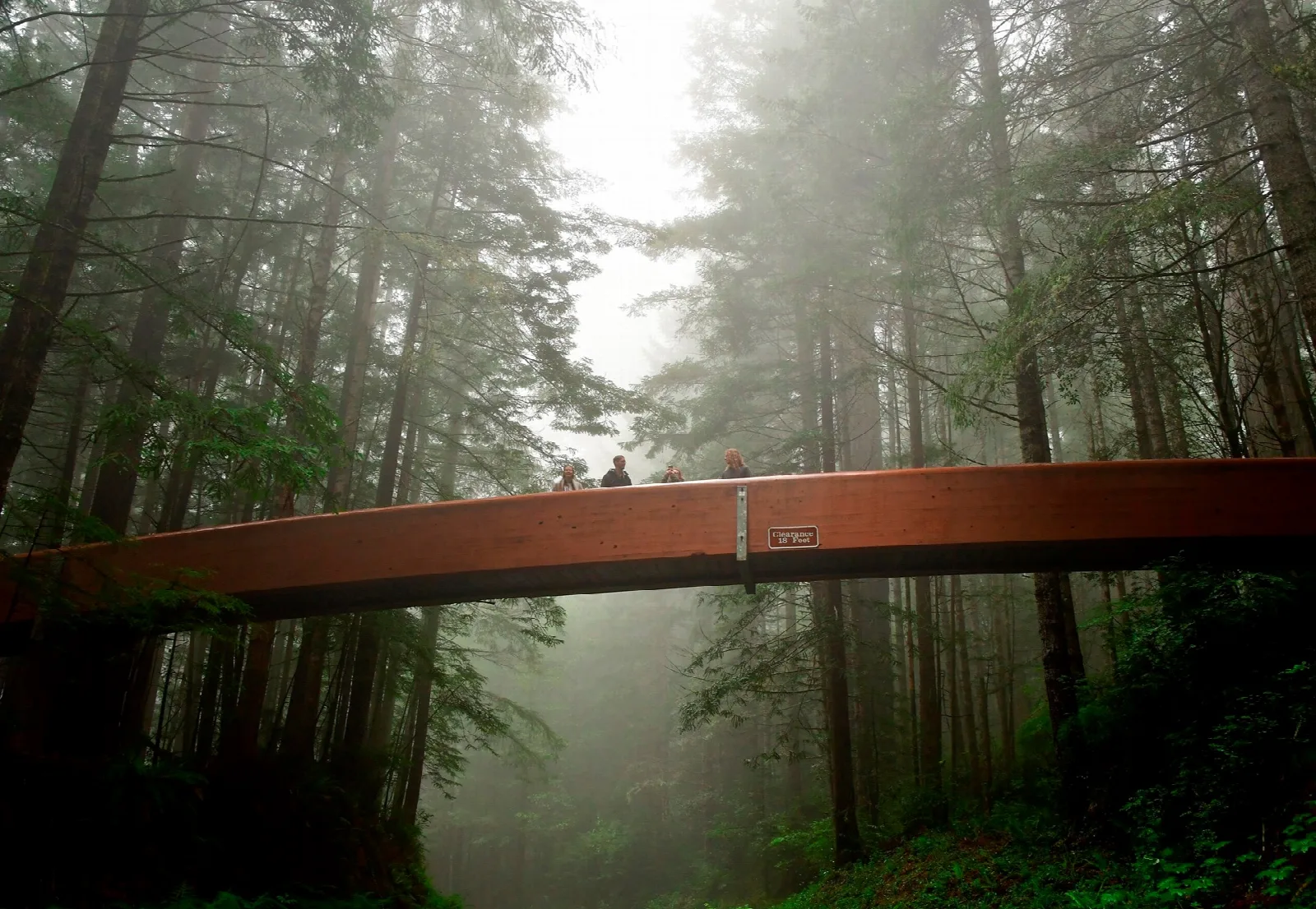 A red footbridge crossing through misty redwood forest