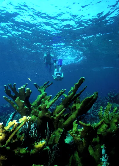 Biscayne National Park