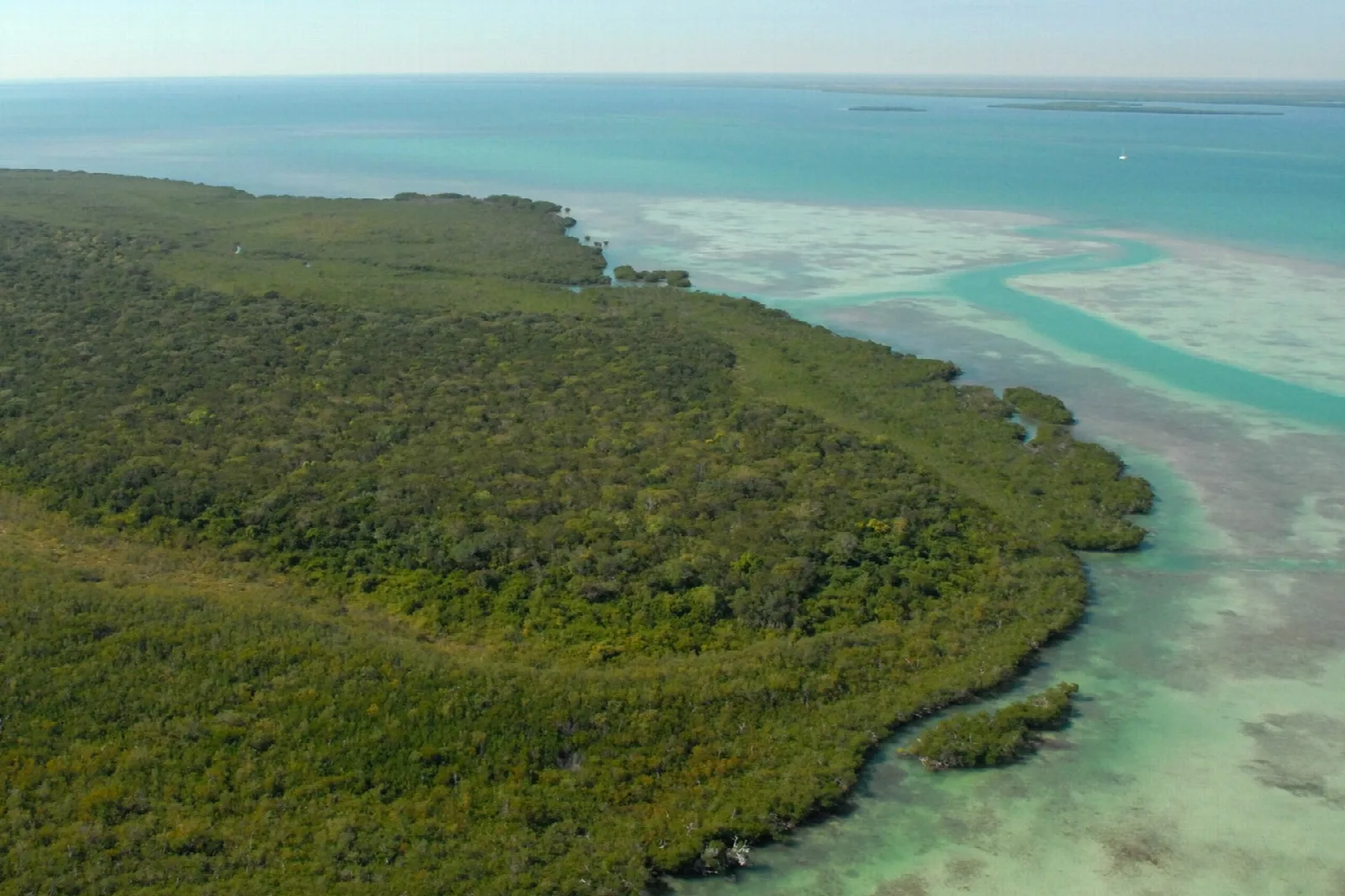 Aerial view of a mangrove-covered key edged by shallow turquoise flats