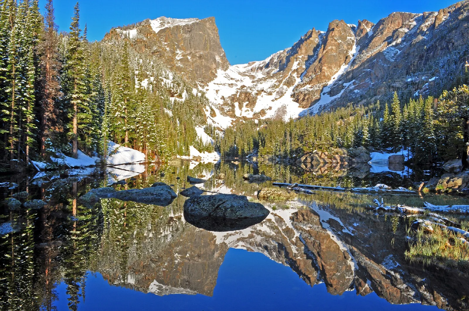 A rugged peak and snowfields mirrored in a clear alpine lake ringed by pines