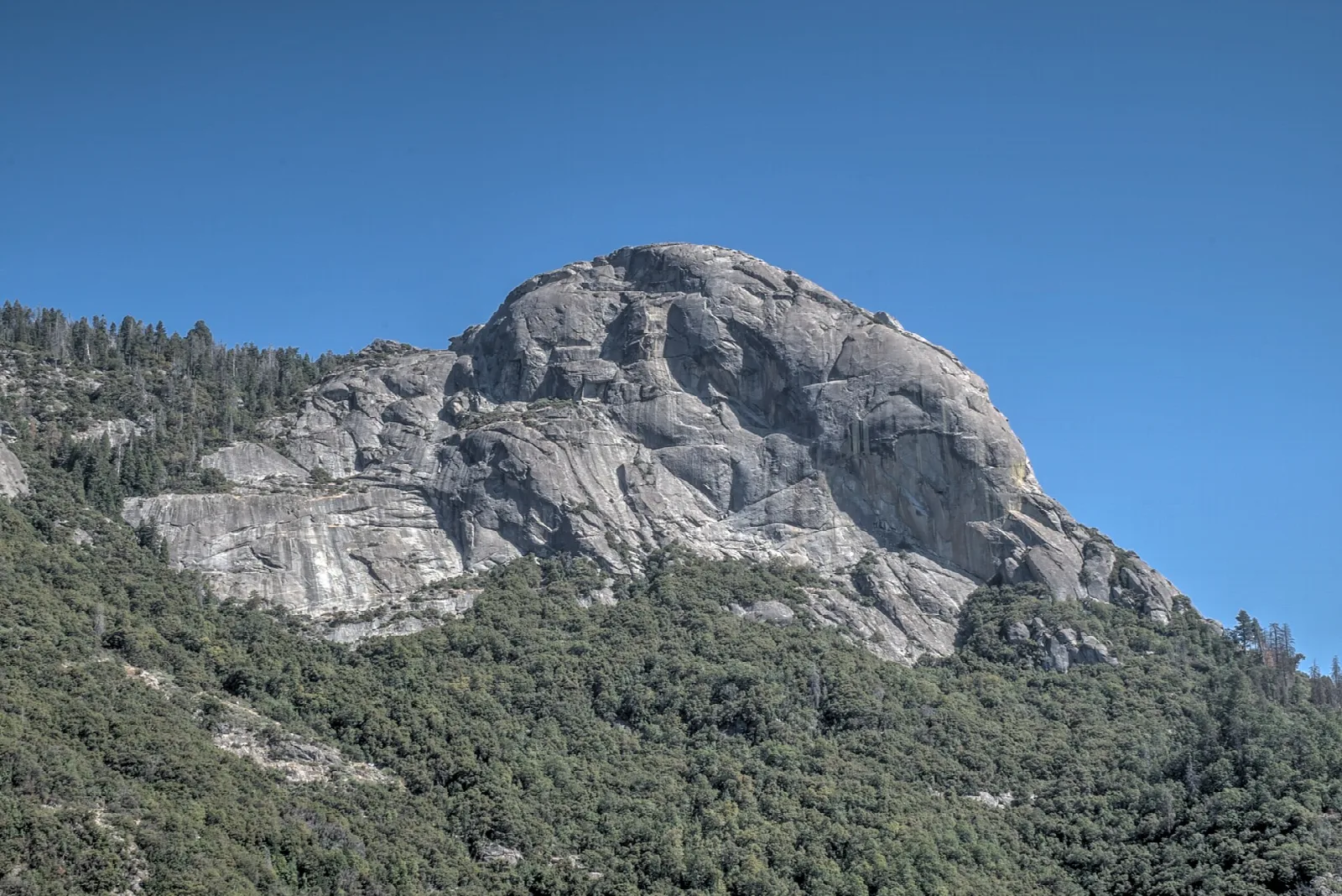 A massive granite dome rising above a forested slope under a clear sky