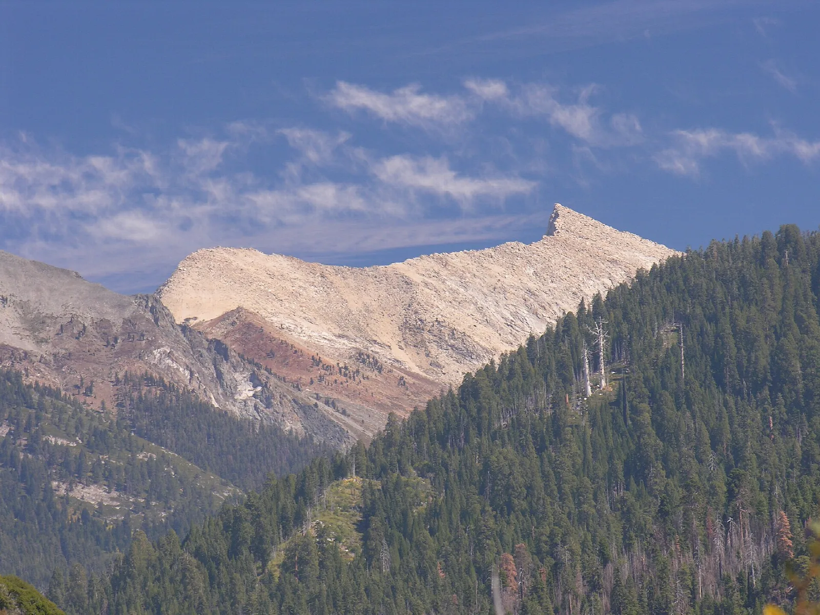A pale, jagged peak above dark conifer forest in a high valley