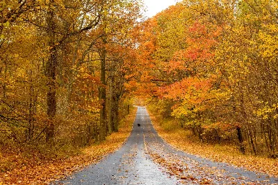 Shenandoah National Park