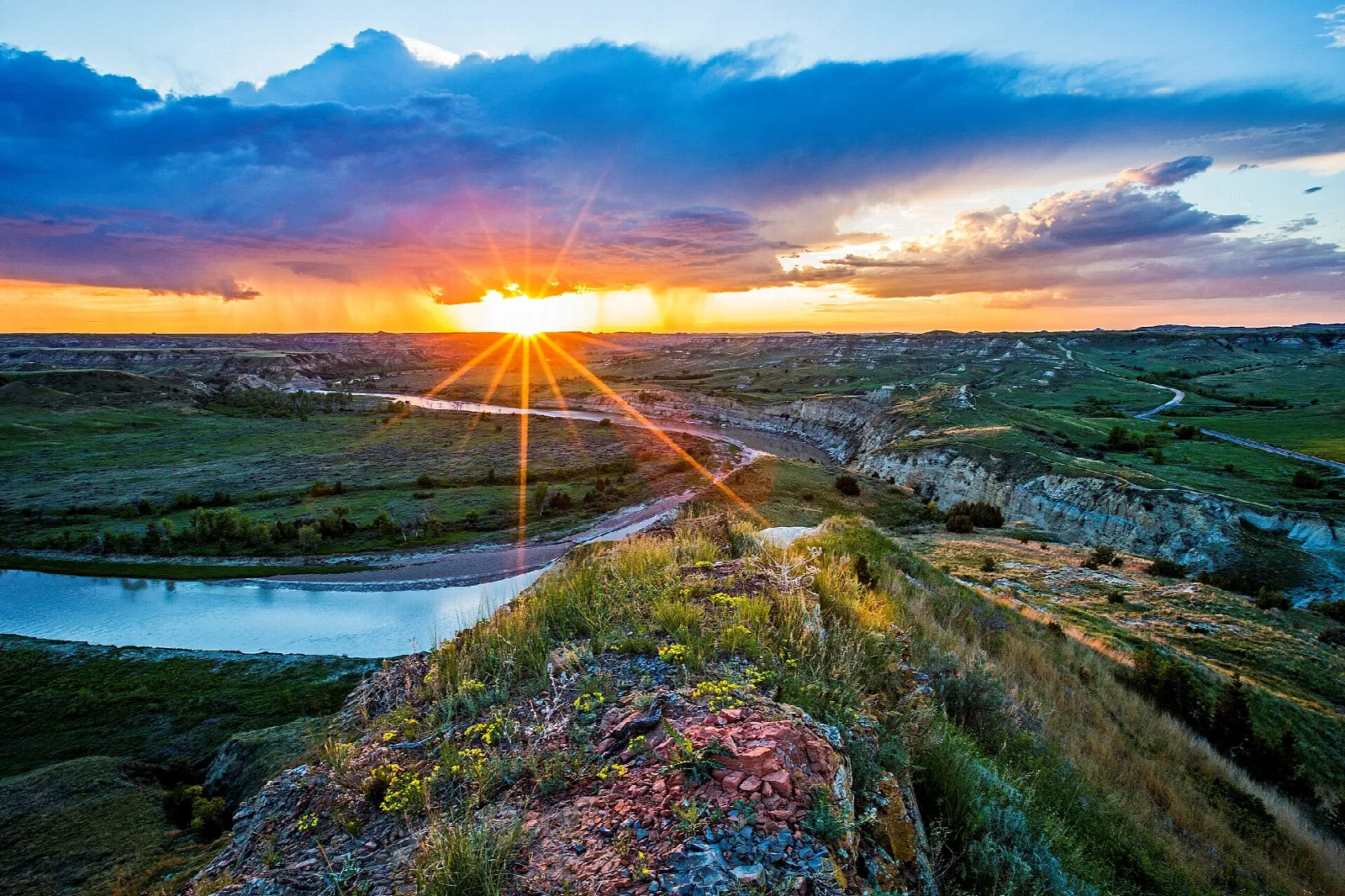 The sun rising over a winding river and green badlands, wildflowers on the bluff in the foreground