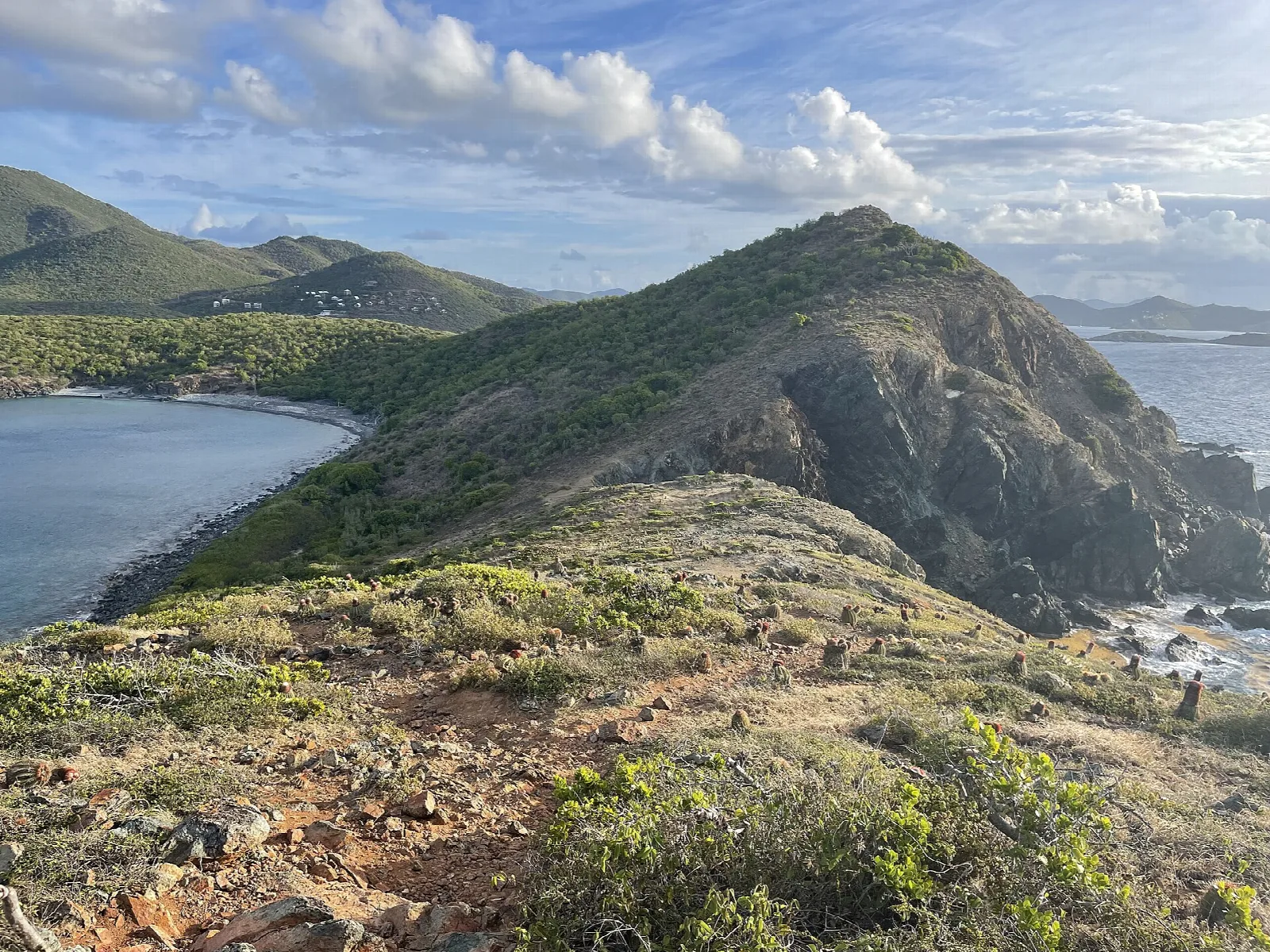 A rugged headland of dry scrub reaching into deep blue water