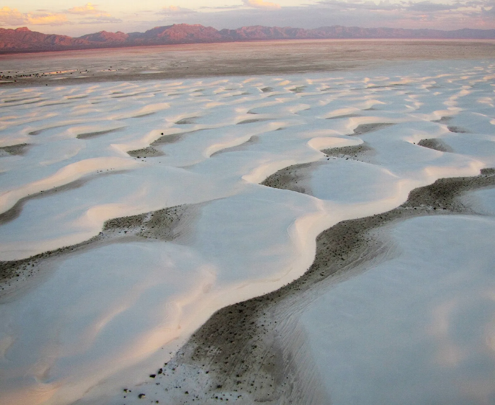 Wave-like white dunes with dark interdune hollows stretching into the distance