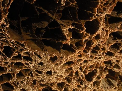 Wind Cave National Park