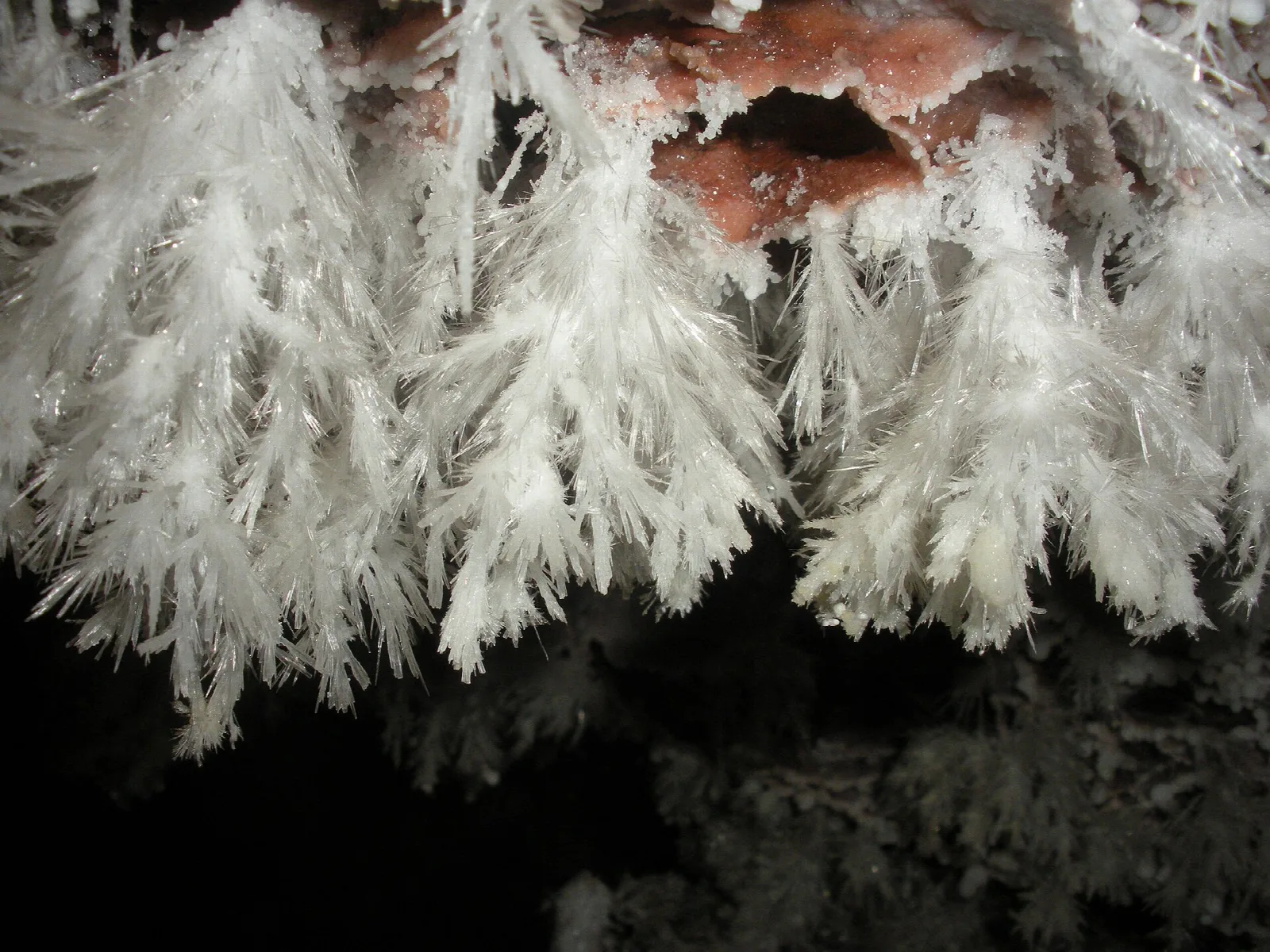 Delicate white needle-like crystals growing on a cave wall