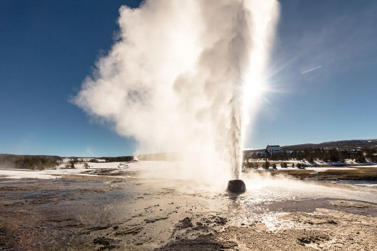 A tall column of water and steam shooting from a geyser cone under blue sky