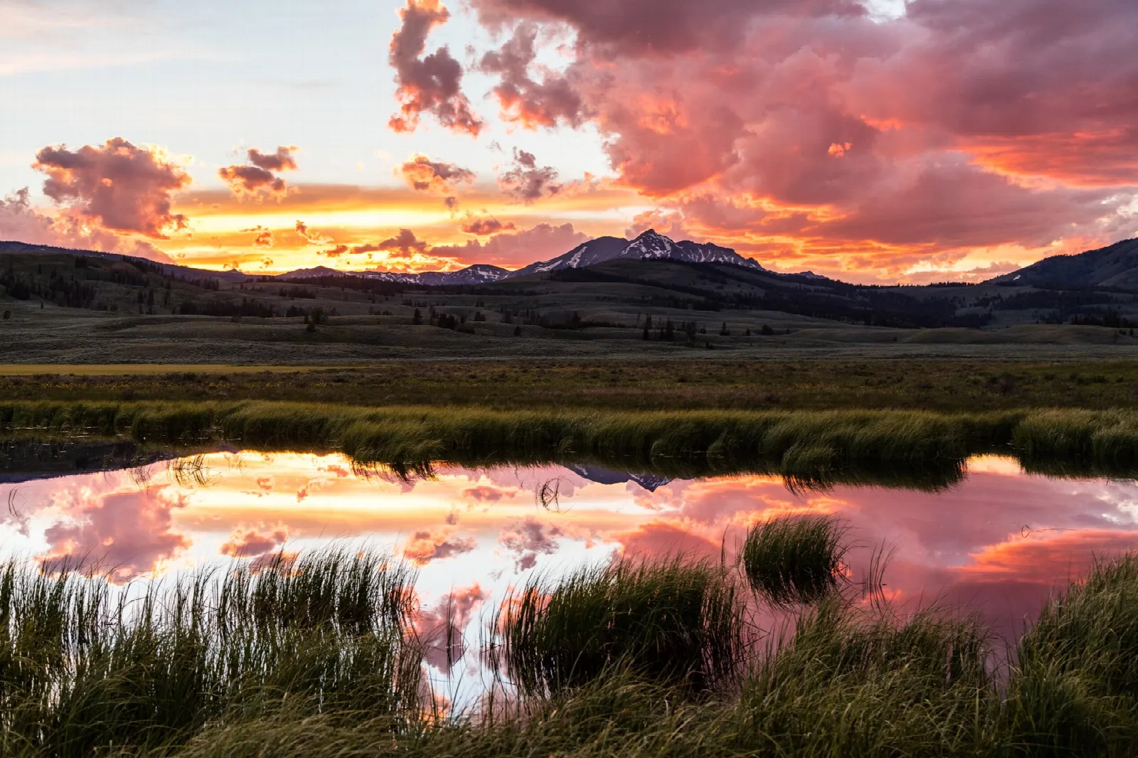 A fiery pink sunset reflected in a marsh below a distant mountain