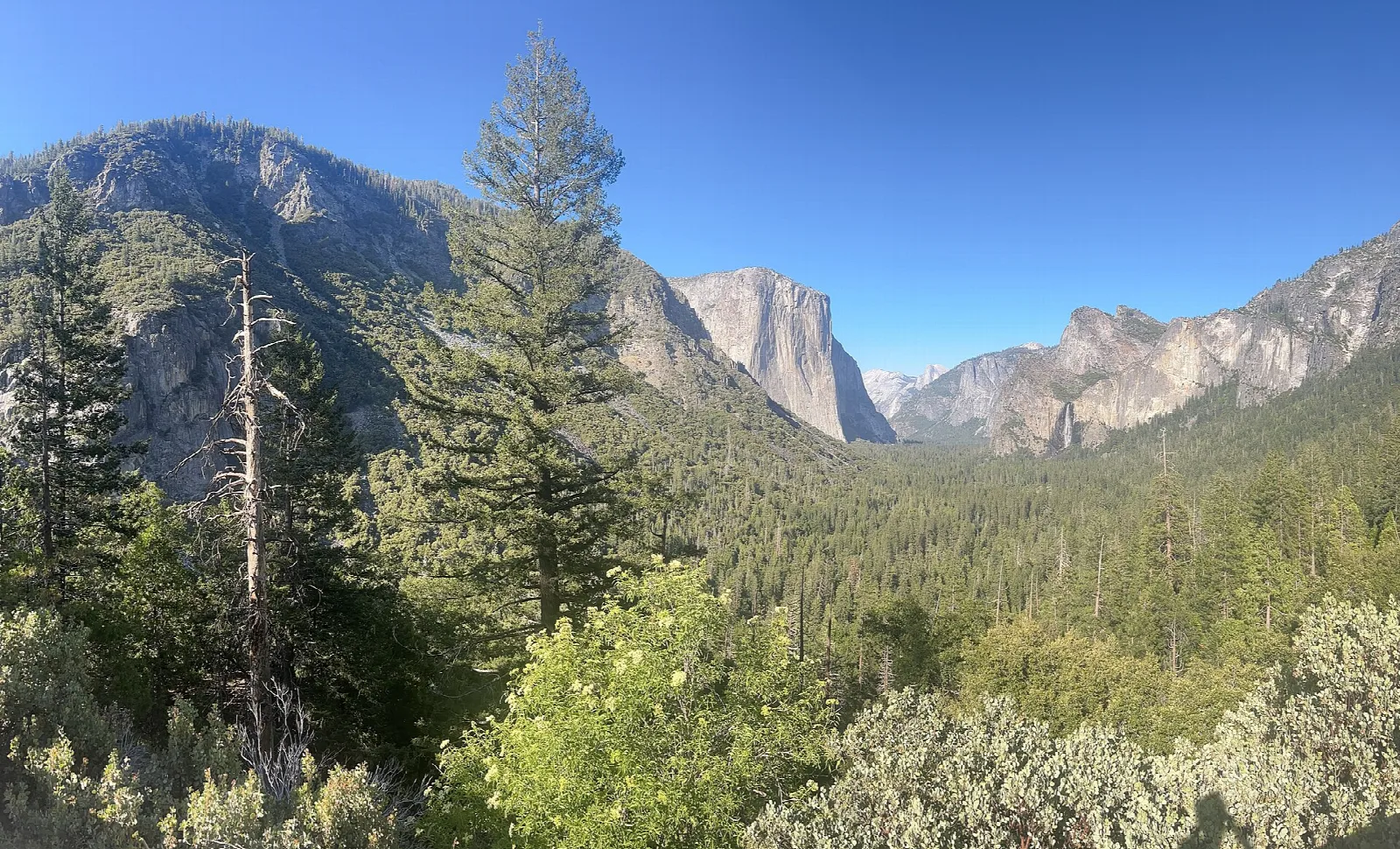Camping near Yosemite, CA