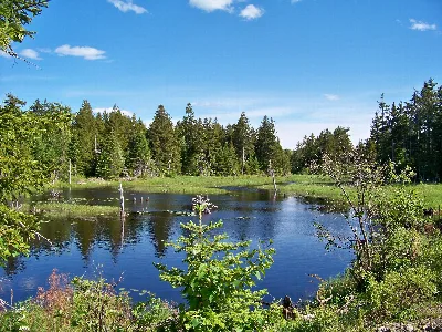 Moosehorn National Wildlife Refuge