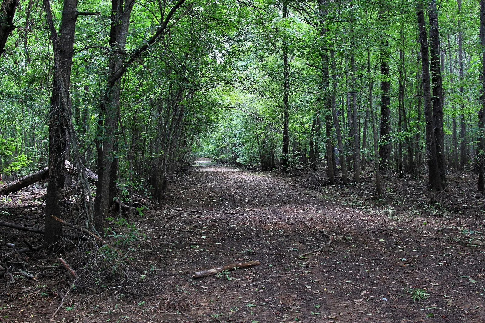 Neches River National Wildlife Refuge