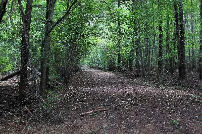 Neches River National Wildlife Refuge