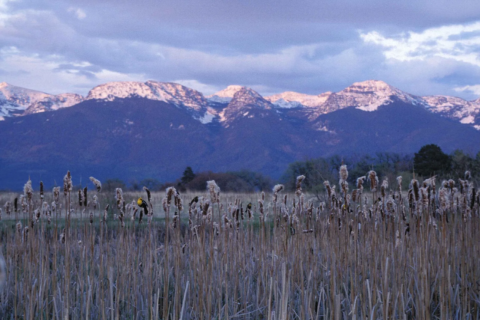 Pablo National Wildlife Refuge