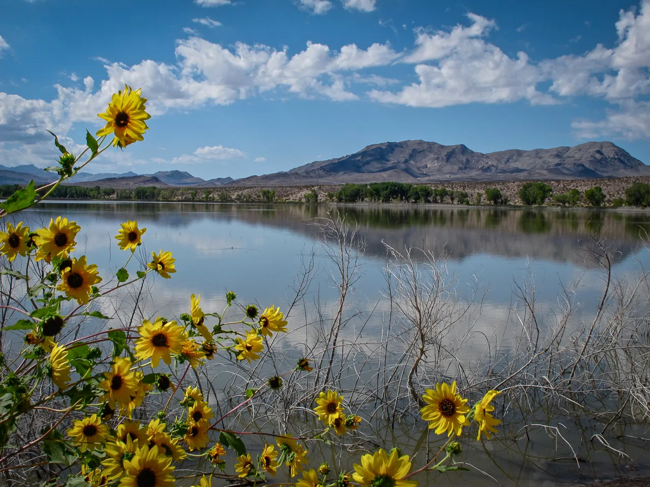 Pahranagat National Wildlife Refuge