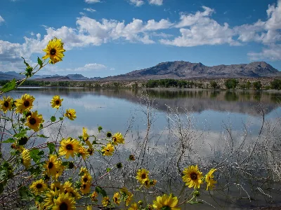 Pahranagat National Wildlife Refuge