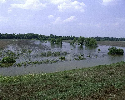 Panther Swamp National Wildlife Refuge