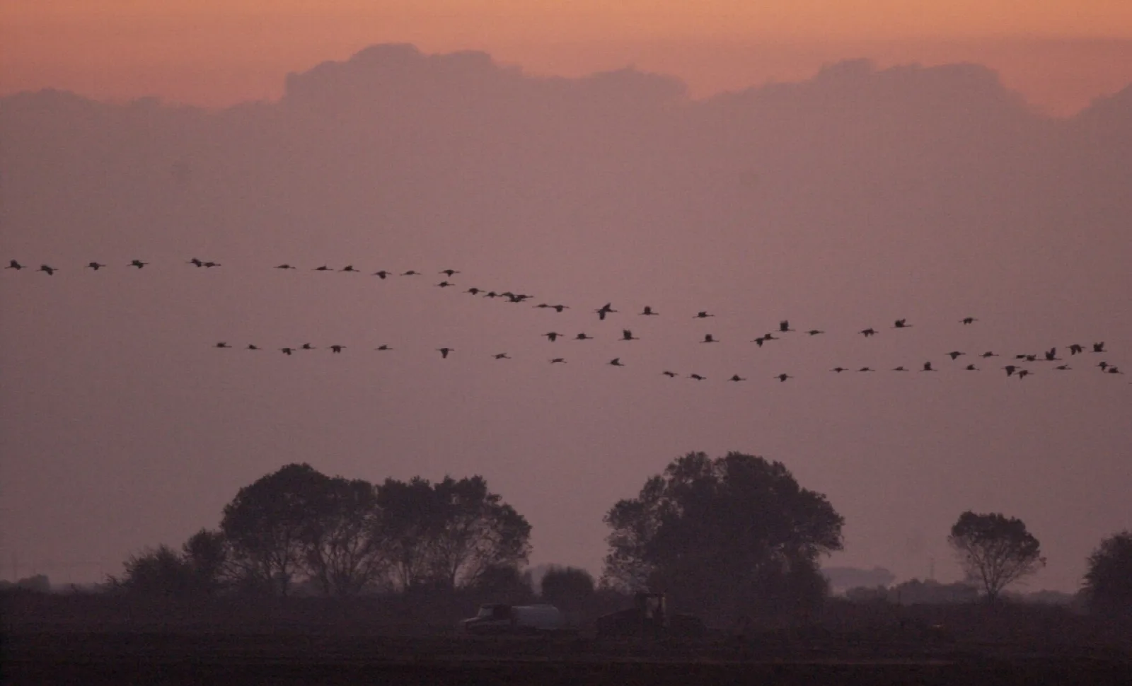 Pixley National Wildlife Refuge