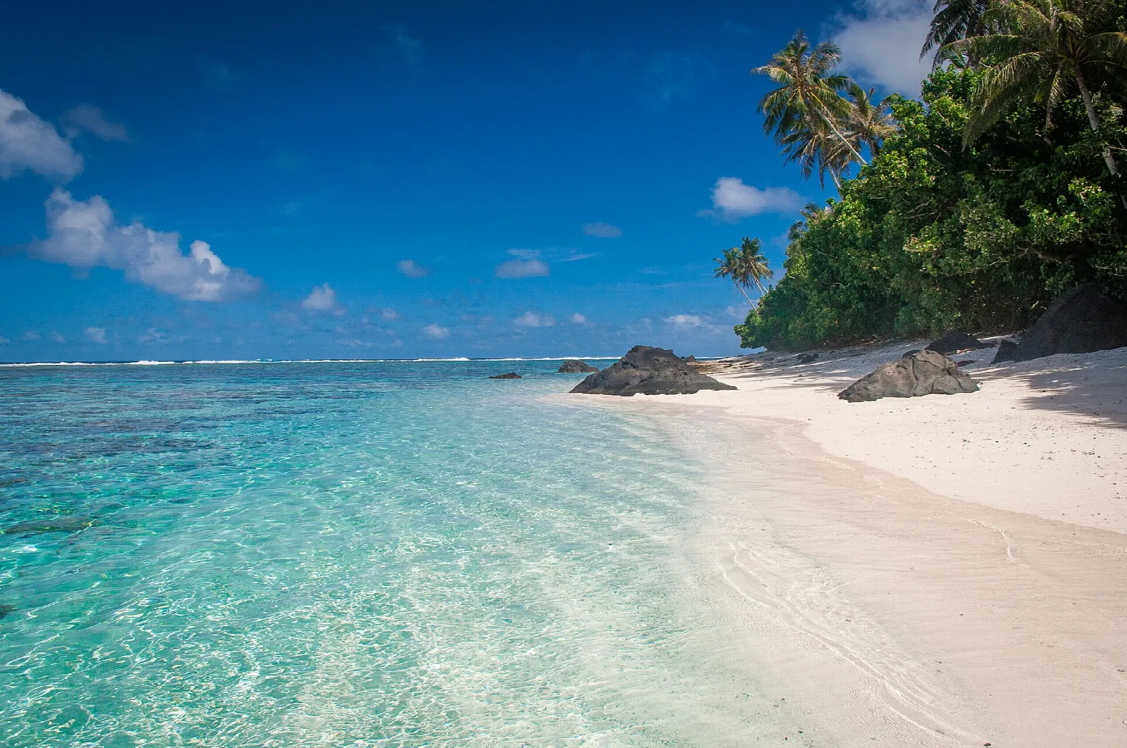 Turquoise water over a reef along a palm-fringed white sand beach