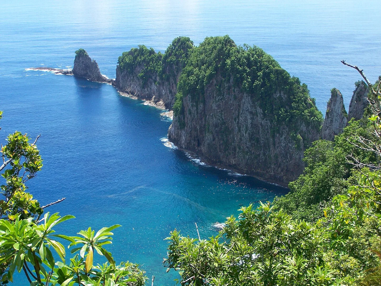 Sheer green sea cliffs and a rock islet rising from deep blue ocean