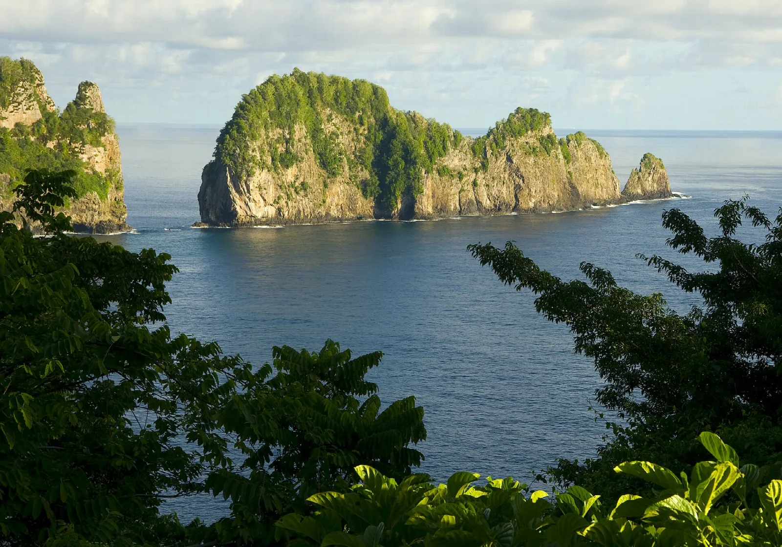 A steep, forested rock island in the ocean, framed by tropical leaves