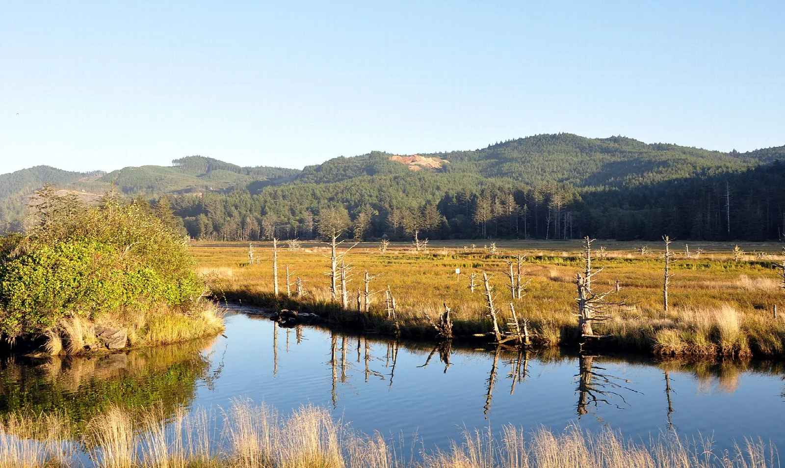 Siletz Bay National Wildlife Refuge