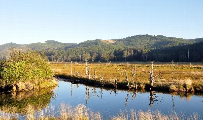 Siletz Bay National Wildlife Refuge