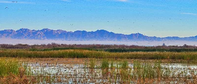 Sonny Bono Salton Sea National Wildlife Refuge