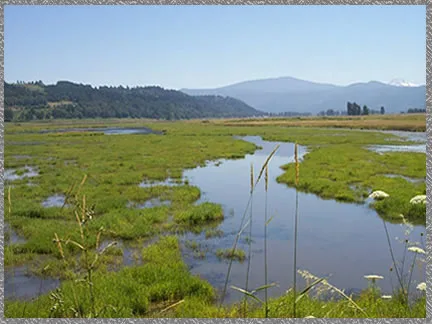 Steigerwald Lake National Wildlife Refuge