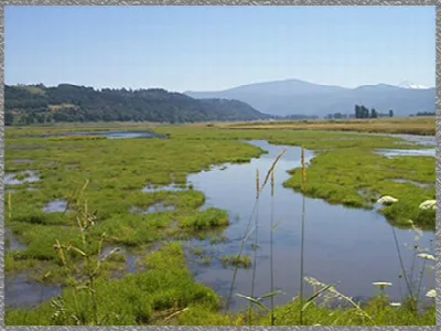 Steigerwald Lake National Wildlife Refuge