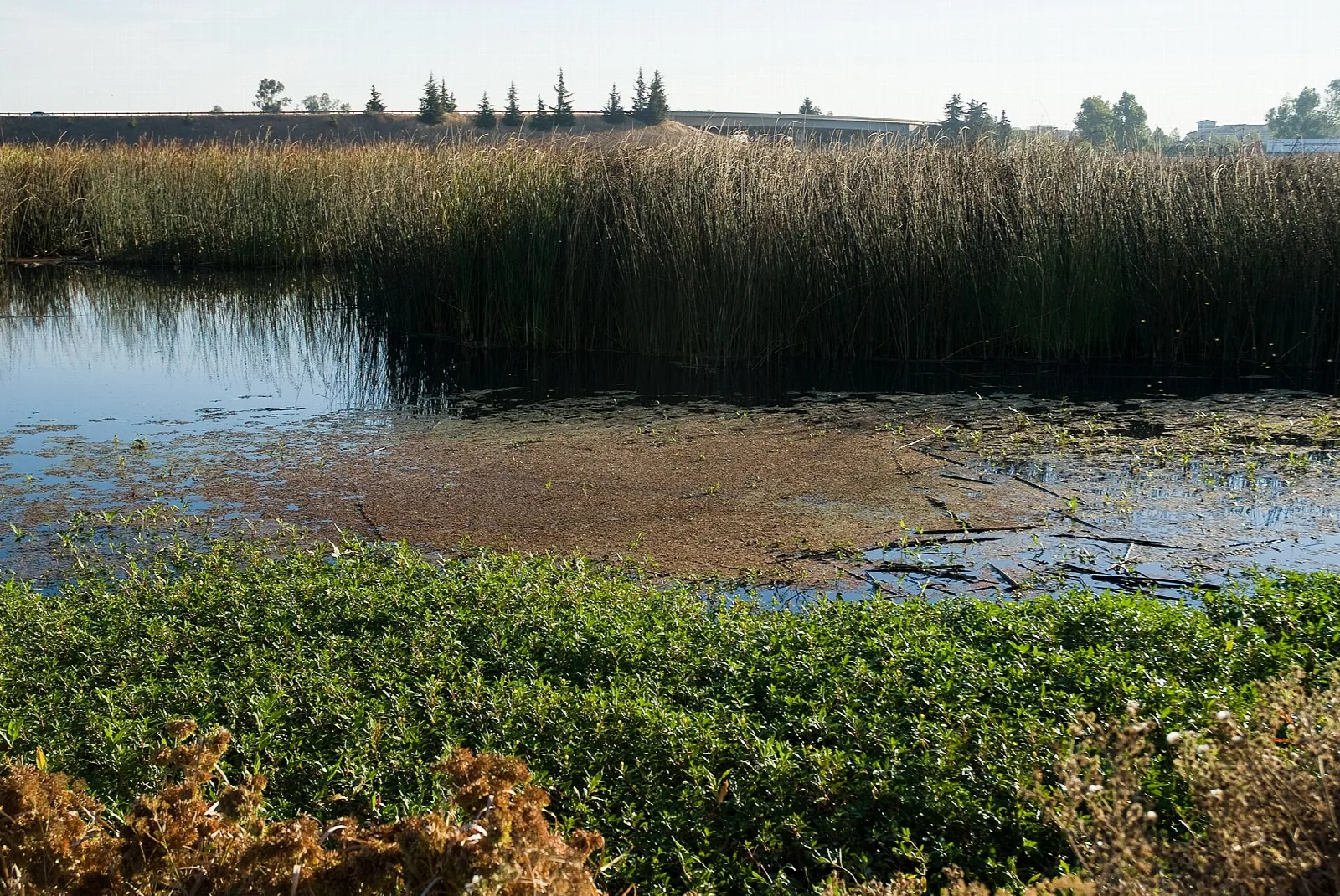 Stone Lakes National Wildlife Refuge