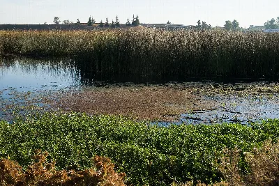 Stone Lakes National Wildlife Refuge
