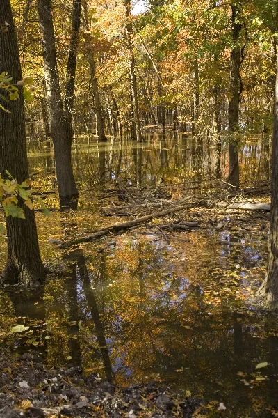 Swan Lake National Wildlife Refuge
