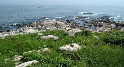 Thacher Island National Wildlife Refuge
