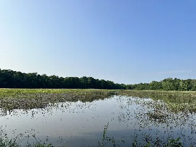 Reelfoot National Wildlife Refuge