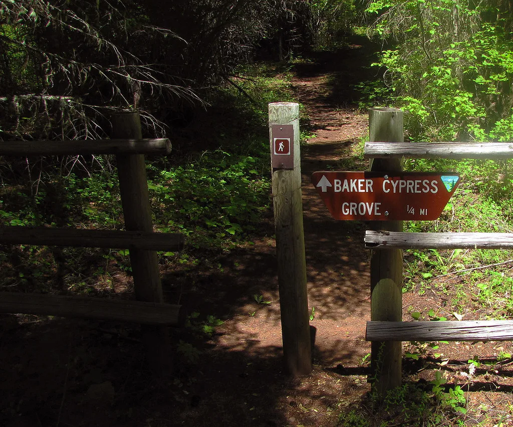 Baker Cypress Trail — Baker Cypress Trailhead.