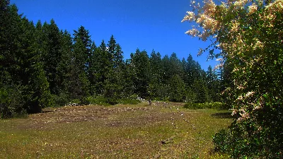 Baker Cypress Trail