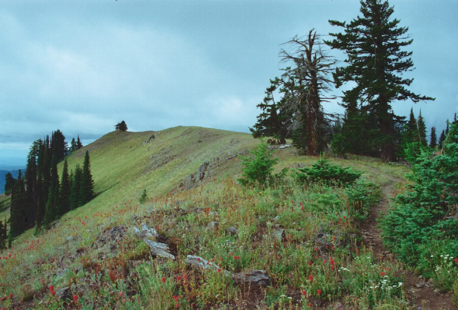 Umatilla National Forest