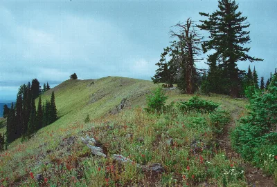 Umatilla National Forest
