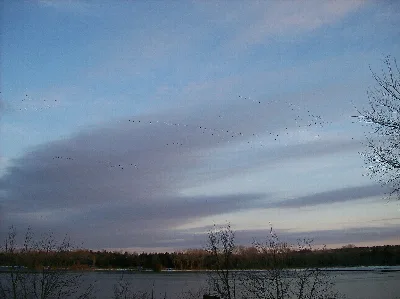 Conestoga Lake