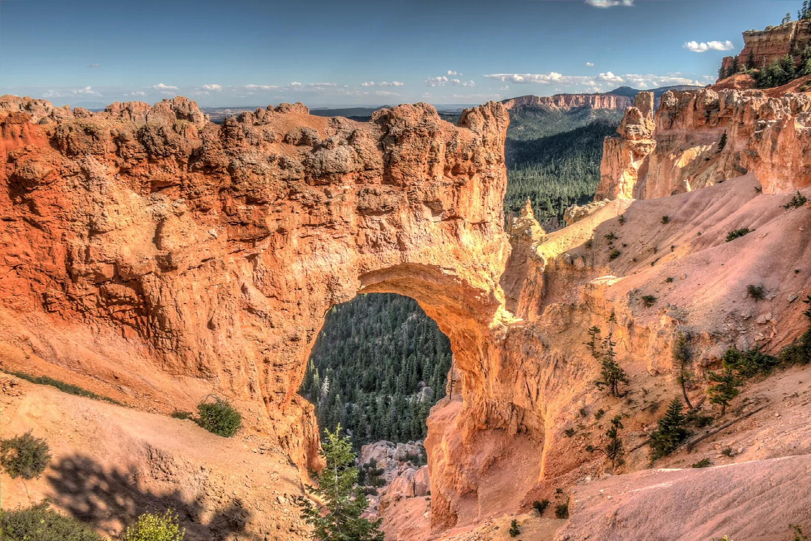 A large orange rock arch framing pine forest below