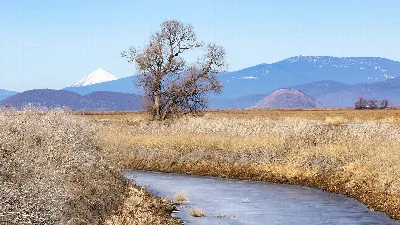 Lower Klamath National Wildlife Refuge